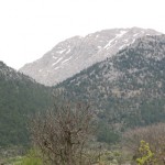 2008-4-1 (132)