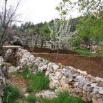 2008-4-1 (144)