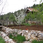 2008-4-1 (145)