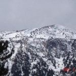 A.SHN (6)