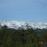 A.SHN (82)