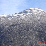 A.SHN (83)