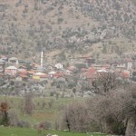 CECELER