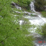 DSC05171