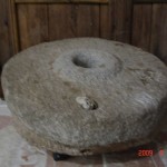 DSC05306