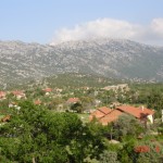 DSC05392