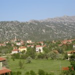 DSC05393