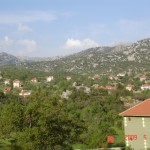 DSC05394
