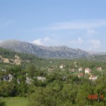 DSC05395