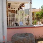 DSC05933