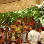 DSC06342