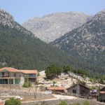 DSC06382