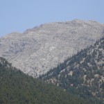 DSC06383