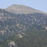 DSC06384