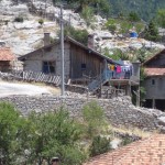 DSC06385