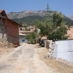 DSC06388