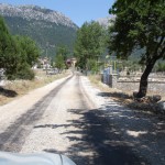 DSC06391