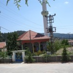 DSC06397