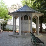 DSC06419
