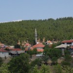 DSC06462