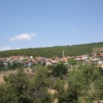 DSC06463