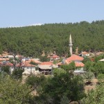 DSC06463