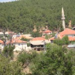 DSC06464