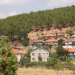 DSC06465
