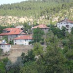 DSC06466
