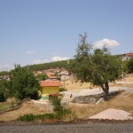 DSC06467