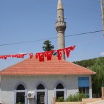 DSC06480