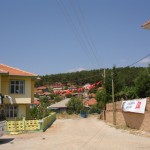 DSC06481