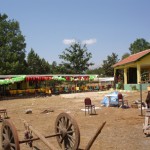 DSC06484
