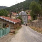 DSC06529