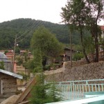 DSC06530