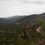 DSC06533