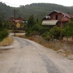 DSC06534