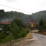 DSC06535