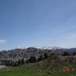 DSC07348