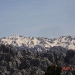 DSC07349