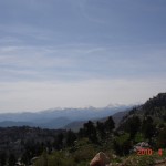 DSC07352