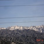 DSC07357