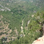 DSC07588