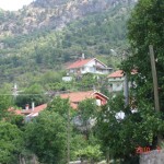 DSC07600