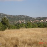 DSC07656