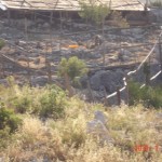 DSC07665