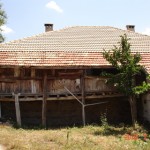 DSC07683