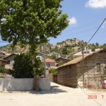 DSC07694