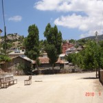 DSC07696