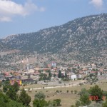DSC07703